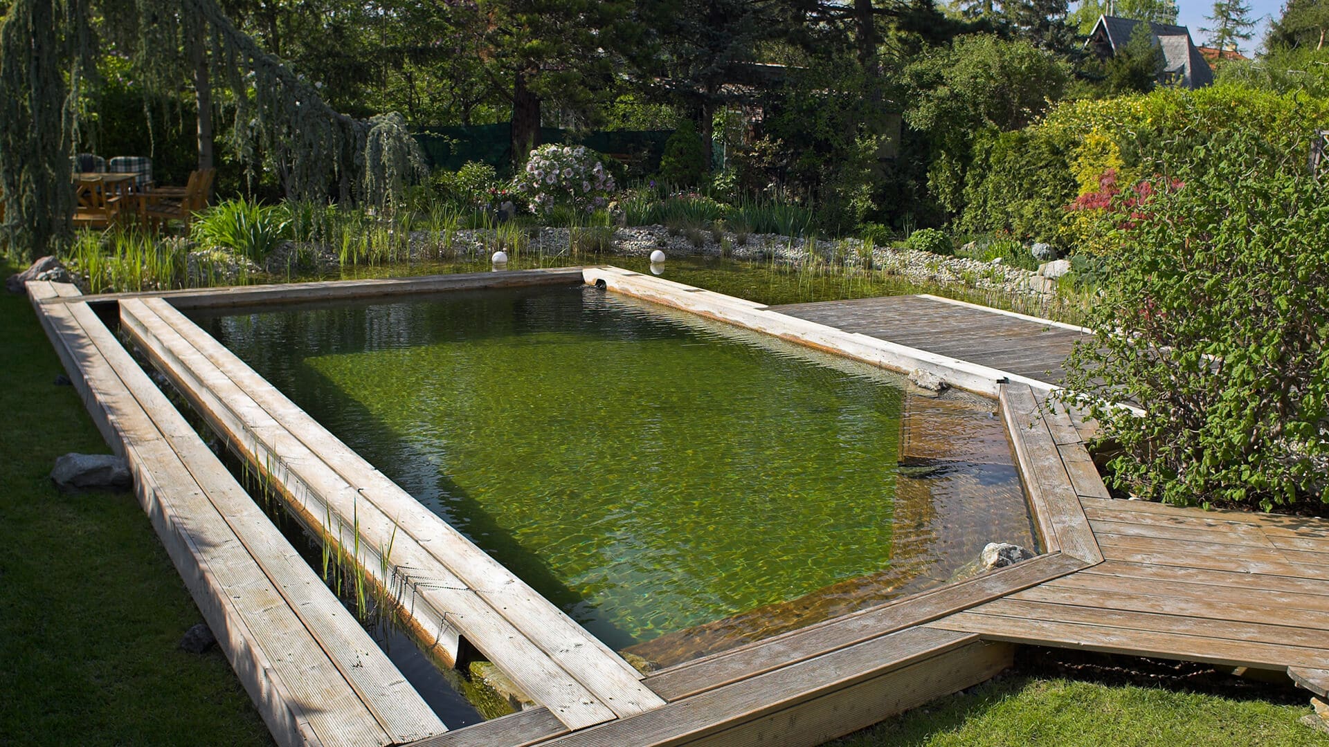 Piscine naturelle
