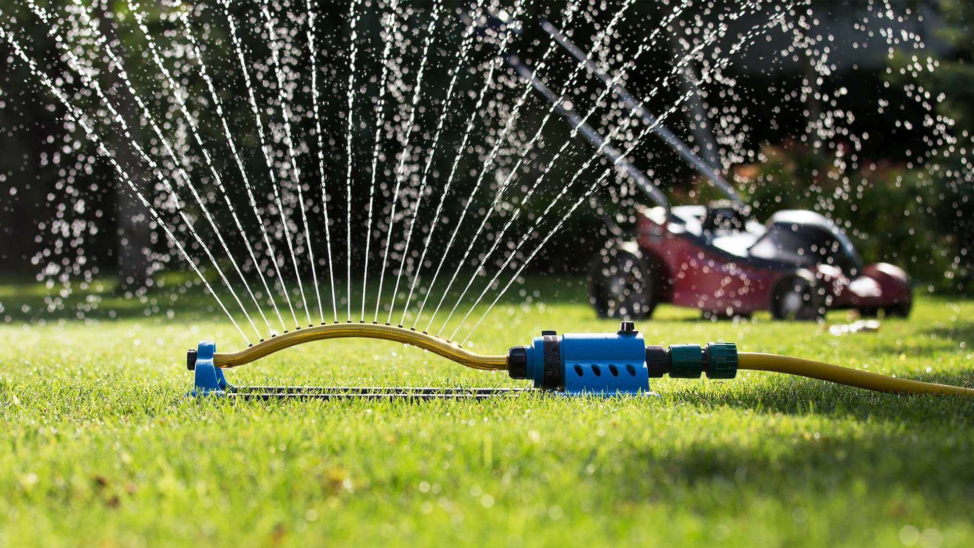 Micro-irrigation pour le jardin