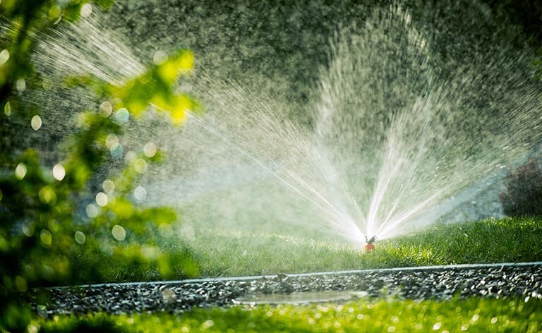 Arrosage intégré en marche dans le jardin