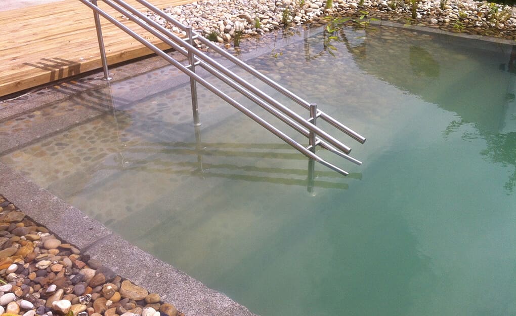 piscine naturelle large